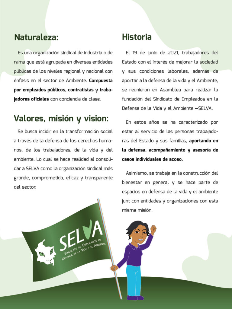 25 06_Portafolio SELVA_1