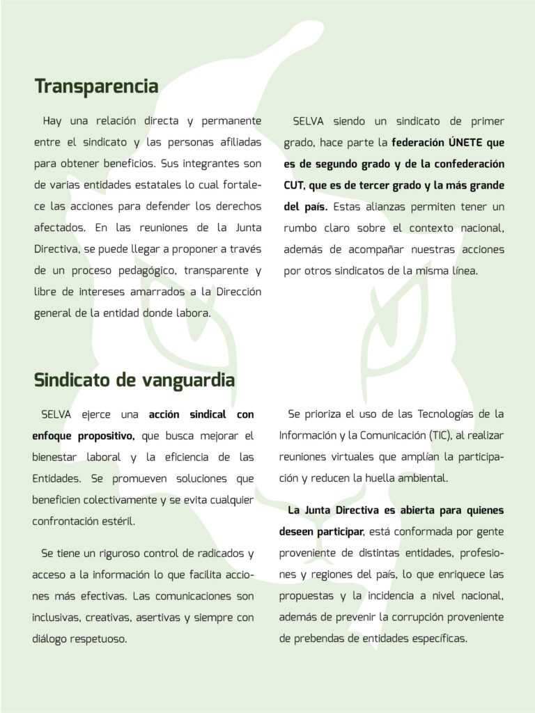 25 06_Portafolio SELVA_2