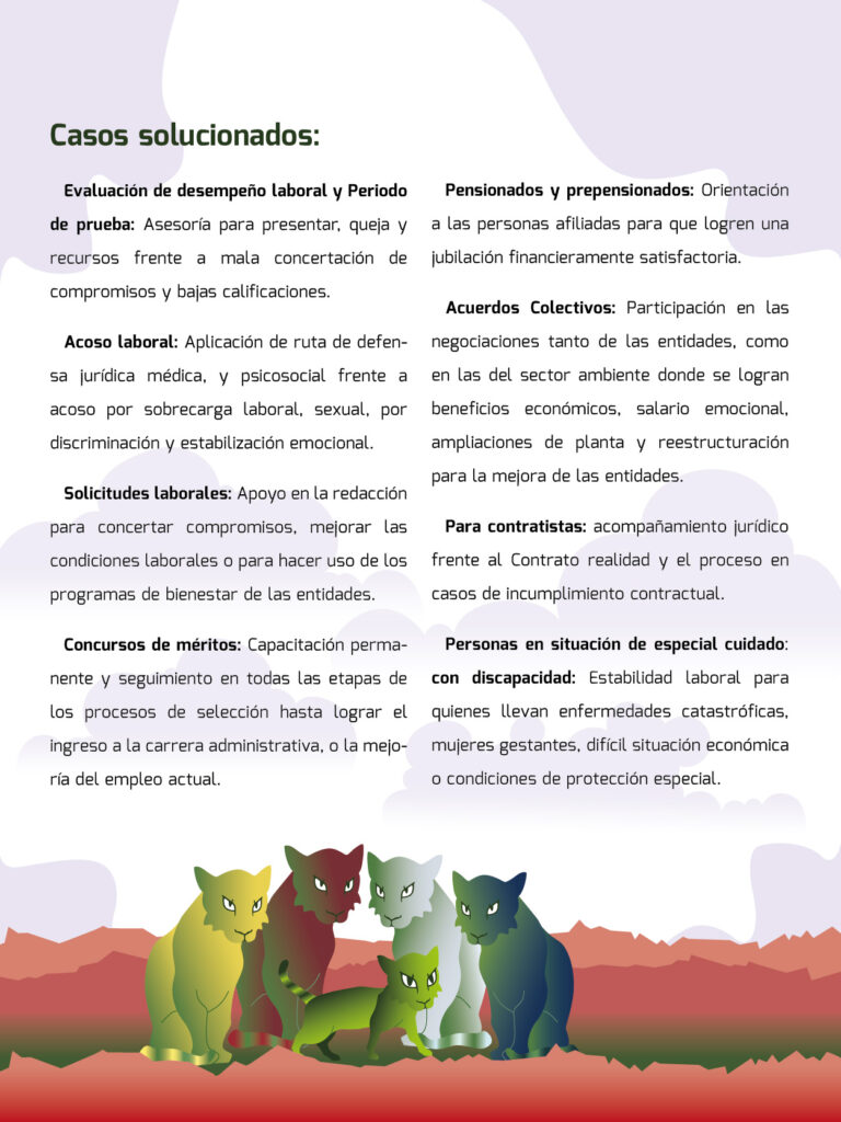 25 06_Portafolio SELVA_3