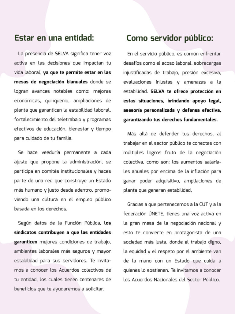 25 06_Portafolio SELVA_7