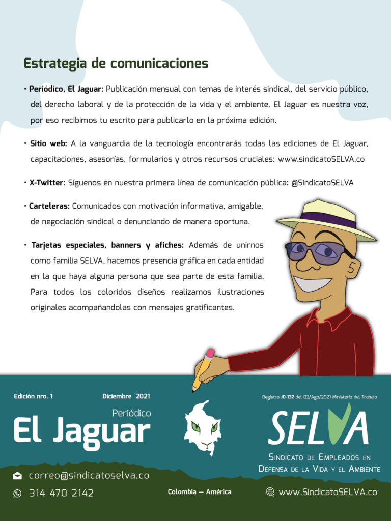 25 06_Portafolio SELVA_Comunicaciones
