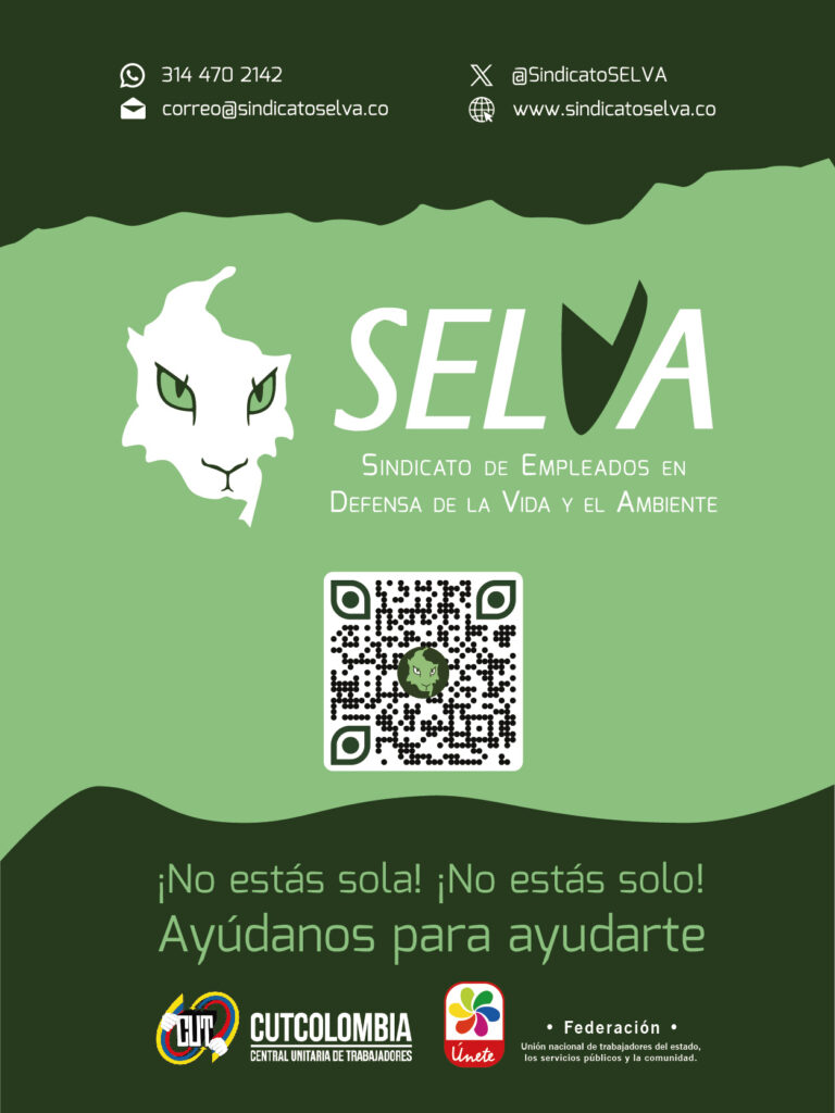 25 06_Portafolio SELVA_Contacto