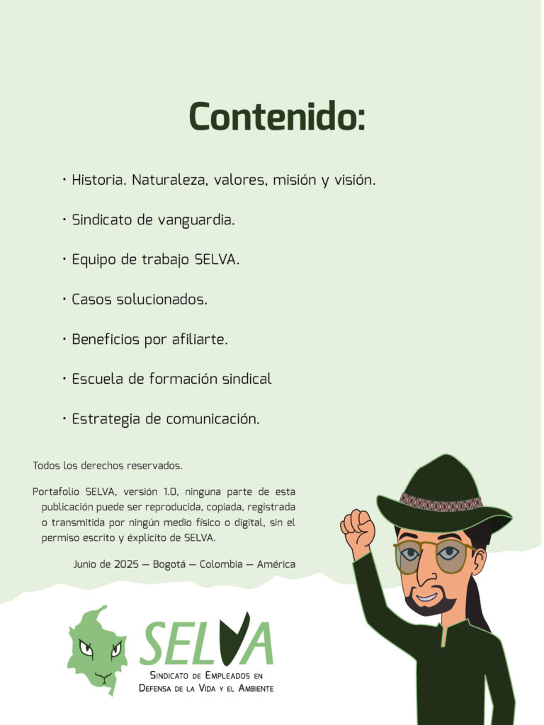 25 06_Portafolio SELVA_Contenido