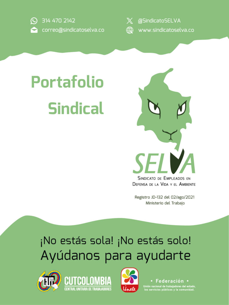 25 06_Portafolio SELVA_Portada