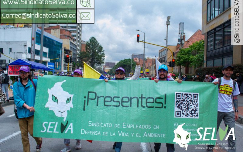 @SindicatoSELVA_20250405_113205_0010