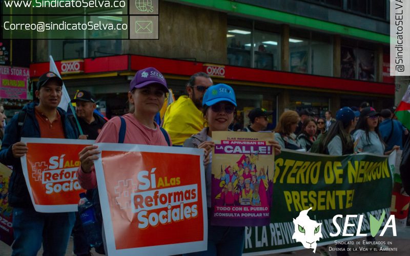 @SindicatoSELVA_20250405_113205_0011
