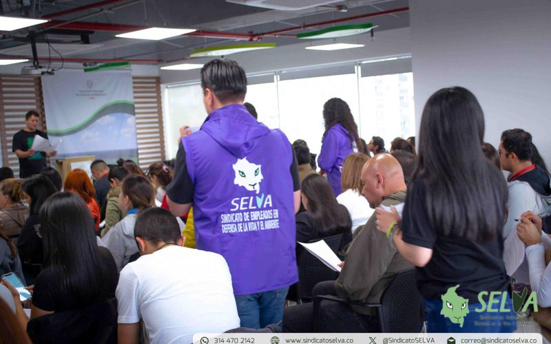 Curso SELVA 2025-12
