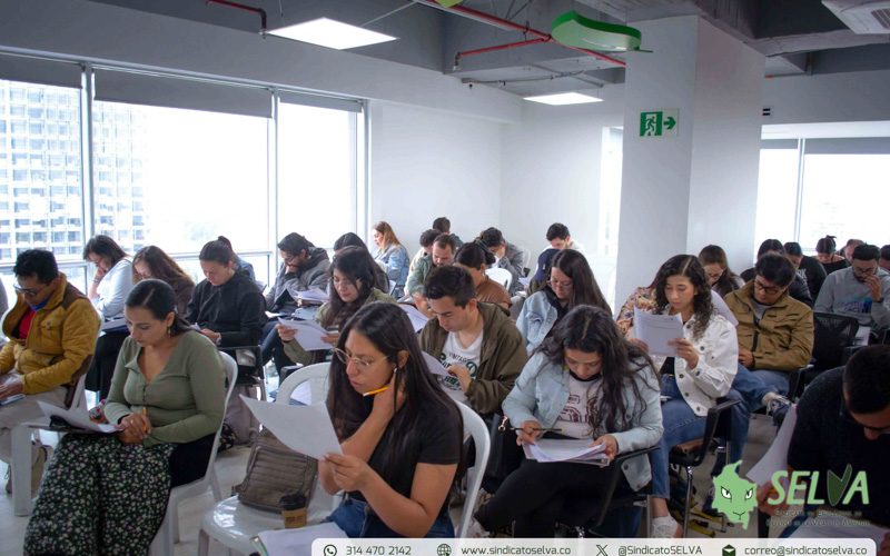 Curso SELVA 2025-16