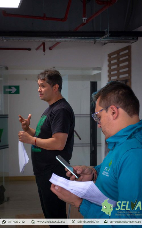 Curso SELVA 2025-2