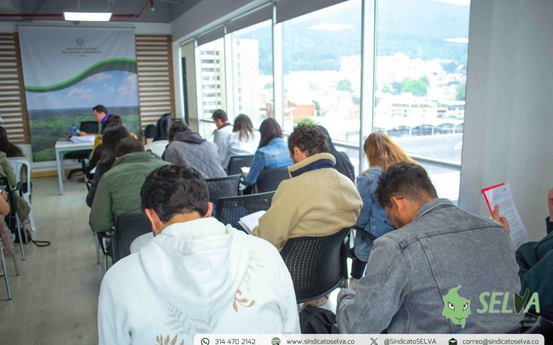 Curso SELVA 2025-20