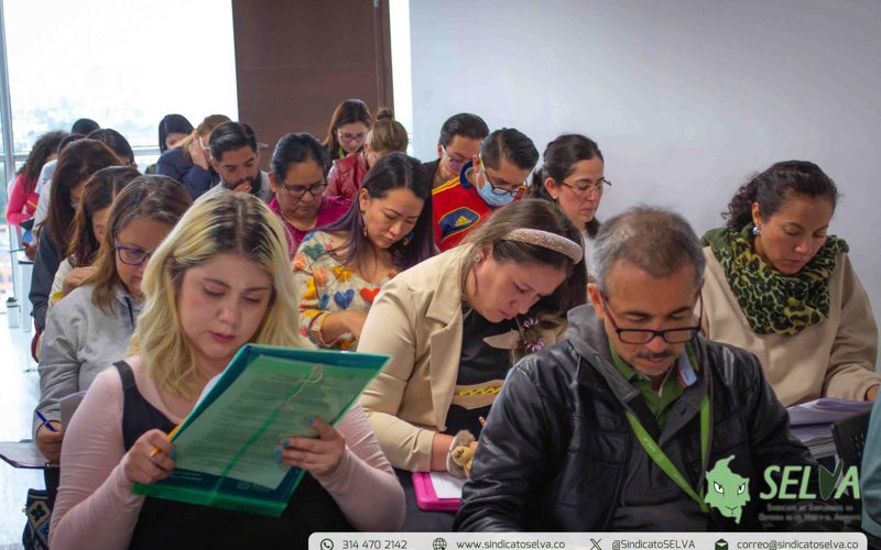 Curso SELVA 2025-24