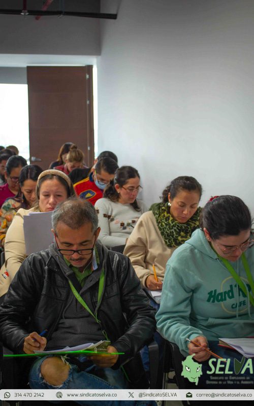 Curso SELVA 2025-25