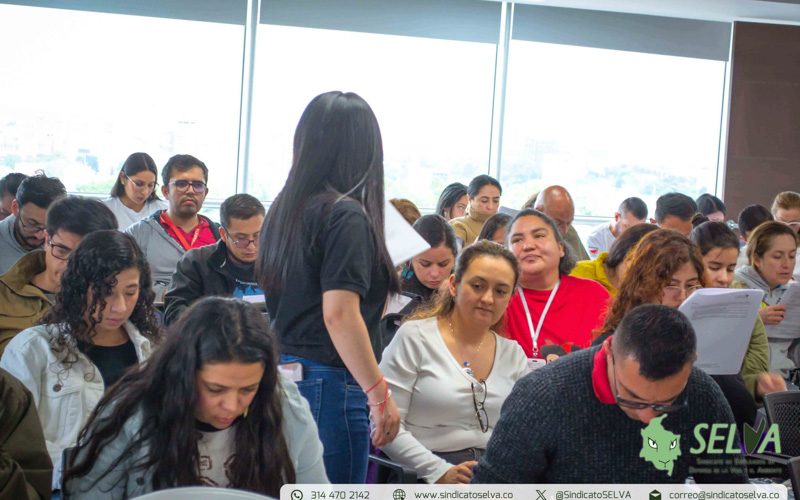 Curso SELVA 2025-26