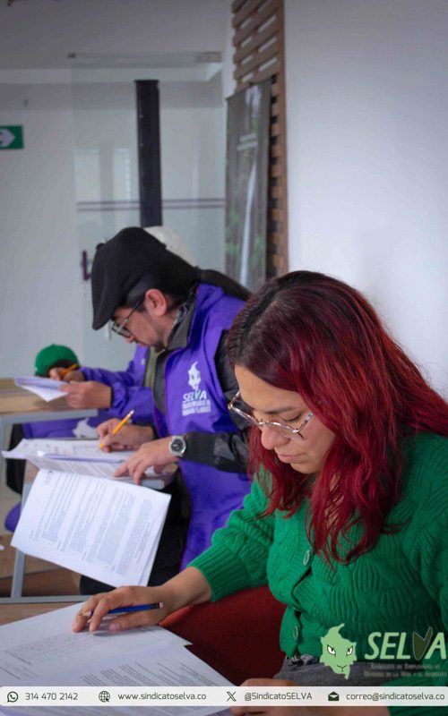Curso SELVA 2025-27