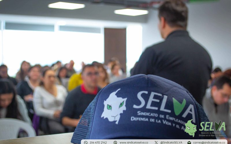 Curso SELVA 2025-29
