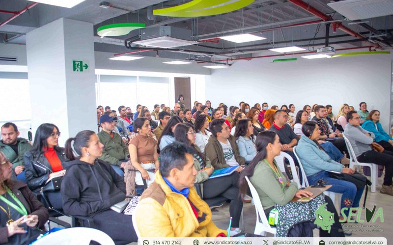 Curso SELVA 2025-3
