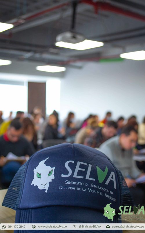 Curso SELVA 2025-30