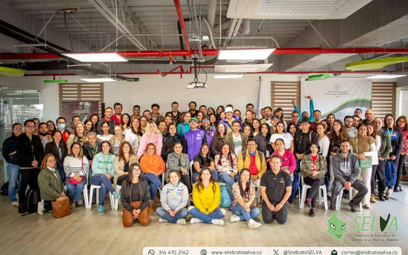 Curso SELVA 2025-31