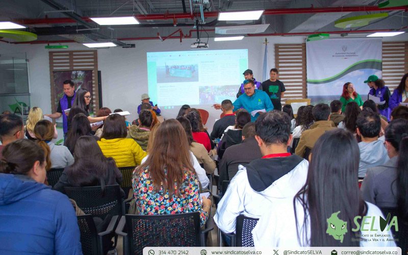 Curso SELVA 2025-6